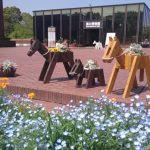 Thumbnail of post image 146