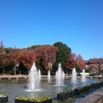 Thumbnail of post image 129