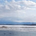 Thumbnail of post image 062