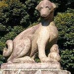 Thumbnail of post image 142