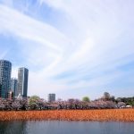 Thumbnail of post image 010