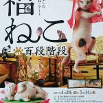 Thumbnail of post image 058