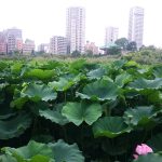 Thumbnail of post image 009