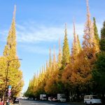 Thumbnail of post image 059