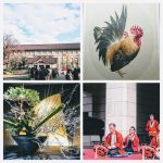 Thumbnail of post image 114