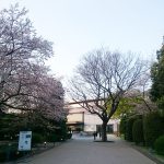 Thumbnail of post image 128