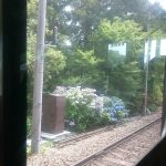 Thumbnail of post image 071