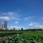 Thumbnail of post image 028