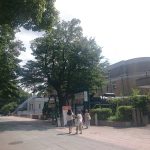 Thumbnail of post image 127