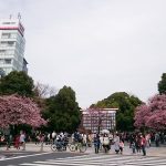 Thumbnail of post image 184