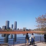 Thumbnail of post image 071