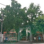 Thumbnail of post image 185