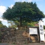 Thumbnail of post image 091