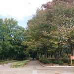 Thumbnail of post image 097