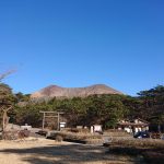 Thumbnail of post image 074