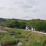 Thumbnail of post image 184