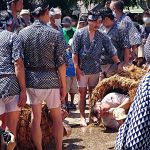 Thumbnail of post image 038