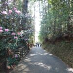 Thumbnail of post image 180